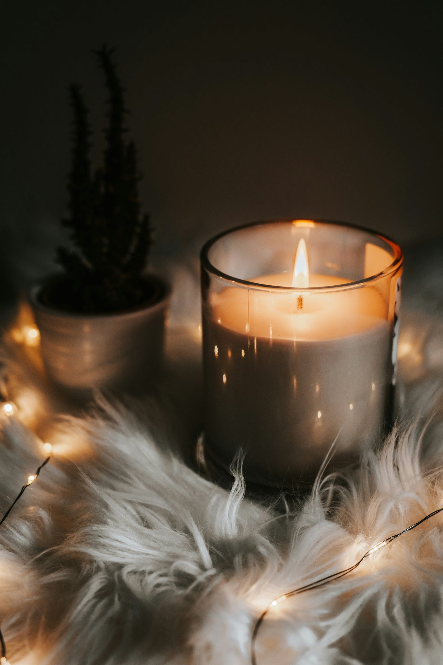 Warm & Cozy Scents